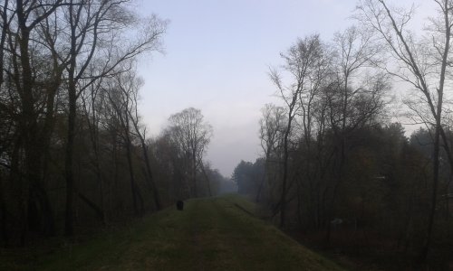 20160425_062307_500x300.jpg