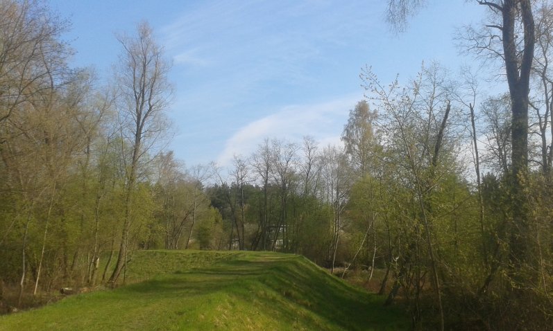 20160429_094133_797x478.jpg