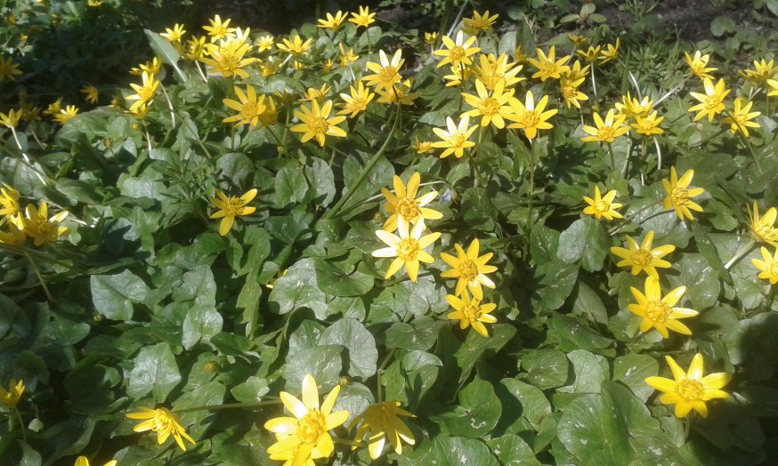 20160430_102118_874x524.jpg