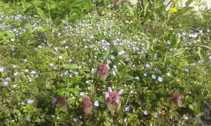 20160430_102155_874x524.jpg