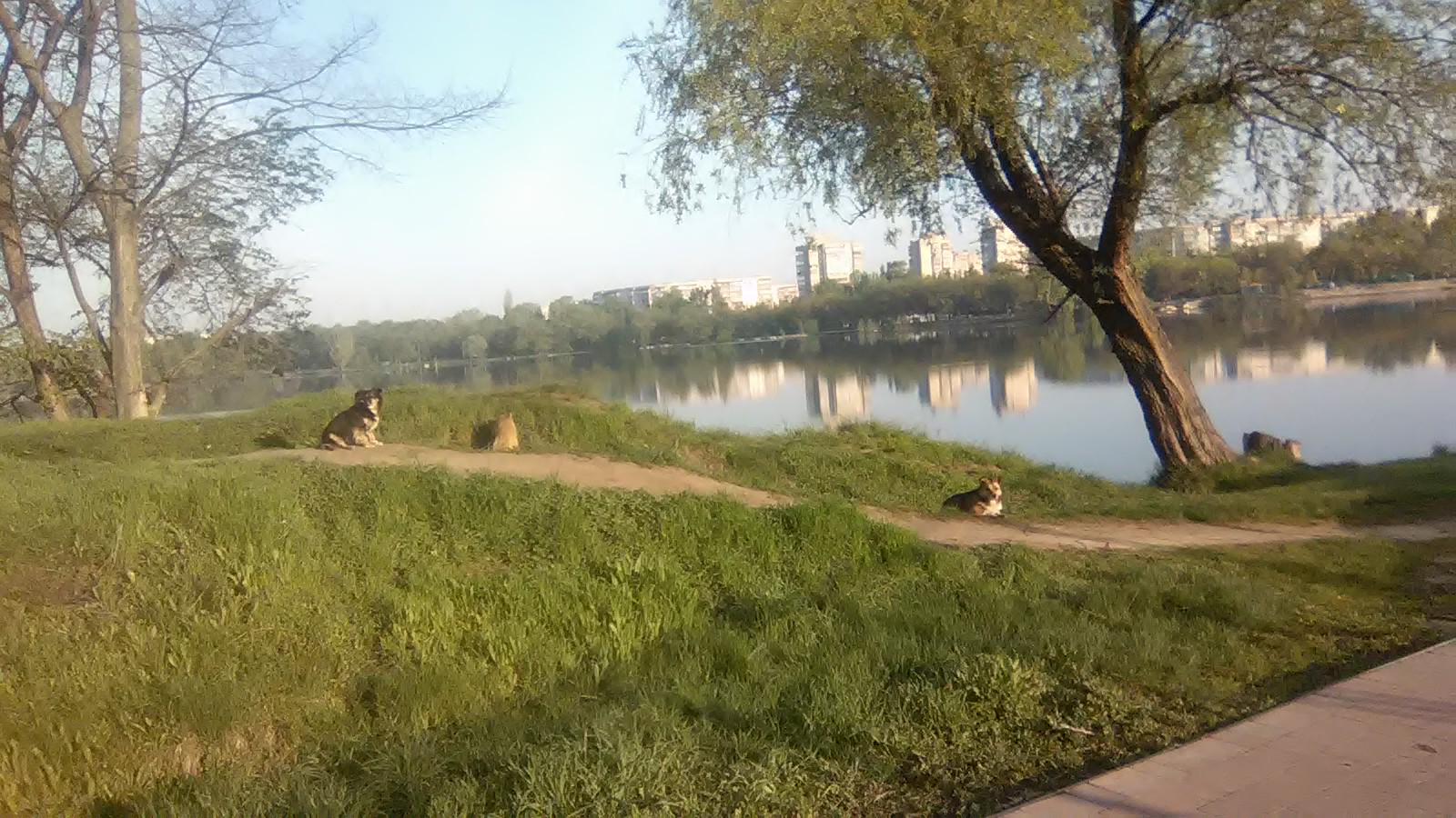 WP_20160503_002.jpg