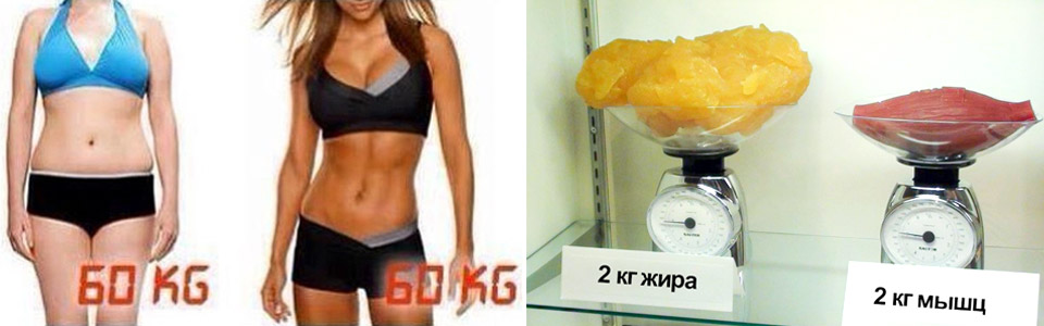 136.jpg