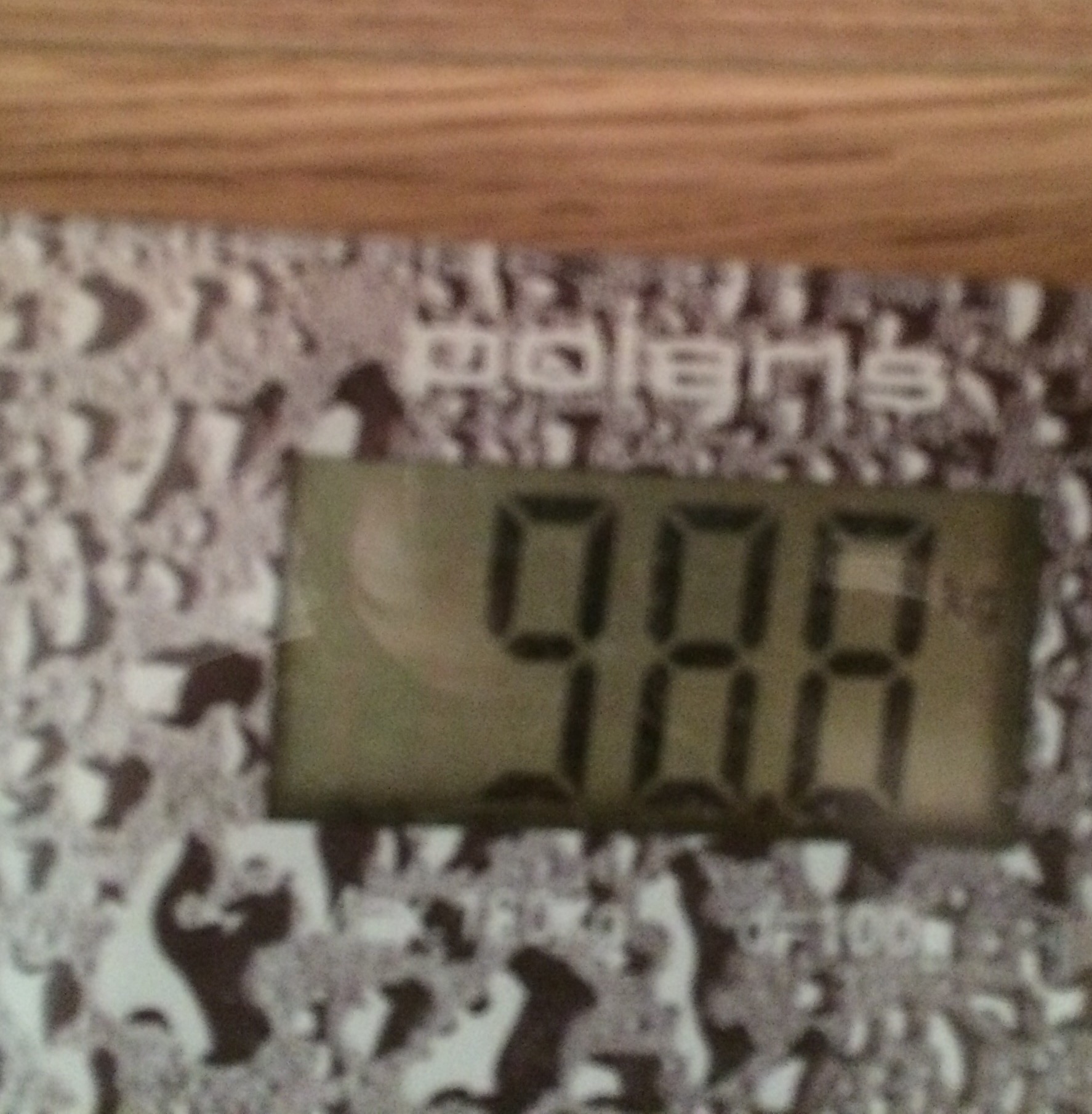 image.jpg