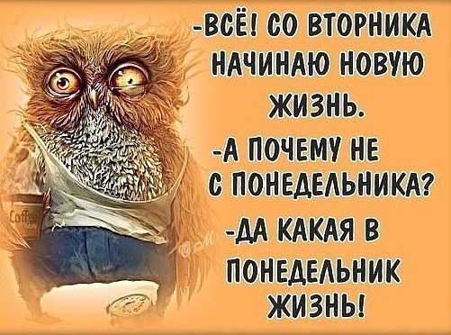 image (2).jpg
