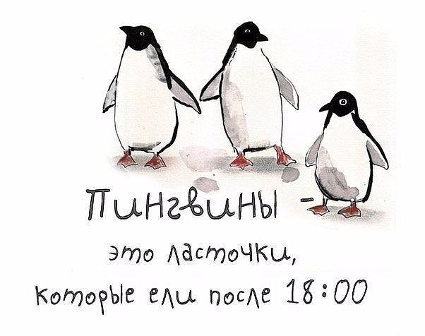 image (3).jpg