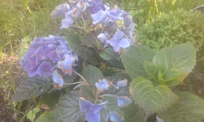 20160531_101704_851x511.jpg