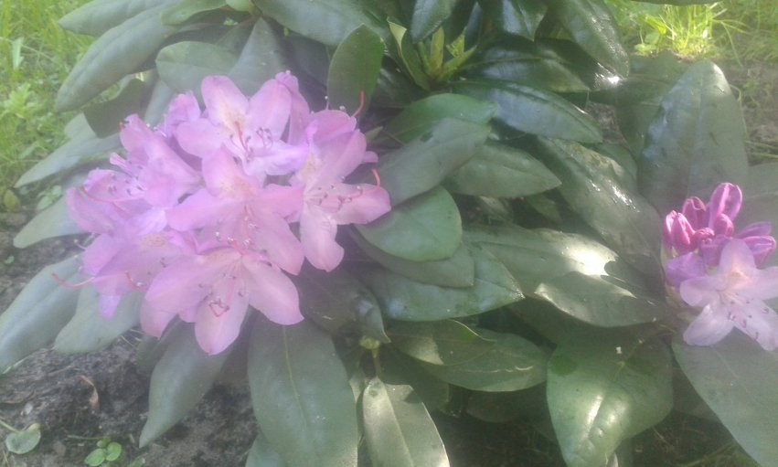 20160531_101645_851x511.jpg