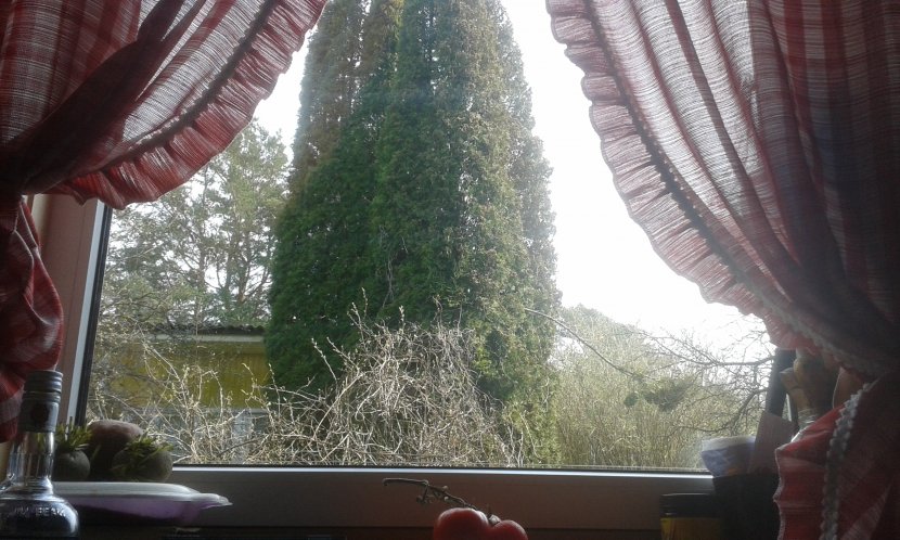20160429_121044_830x498.jpg