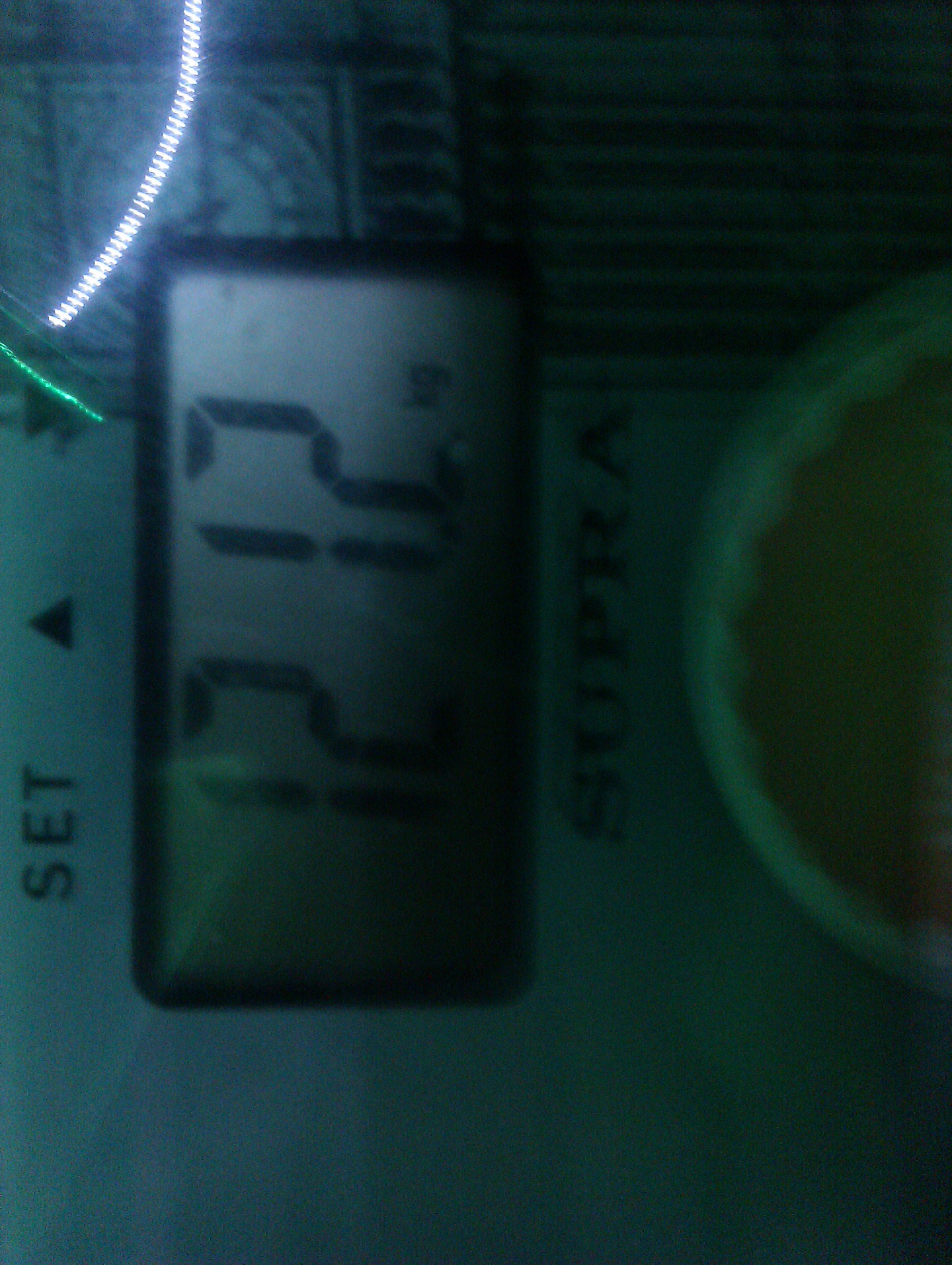 IMAG0162.jpg