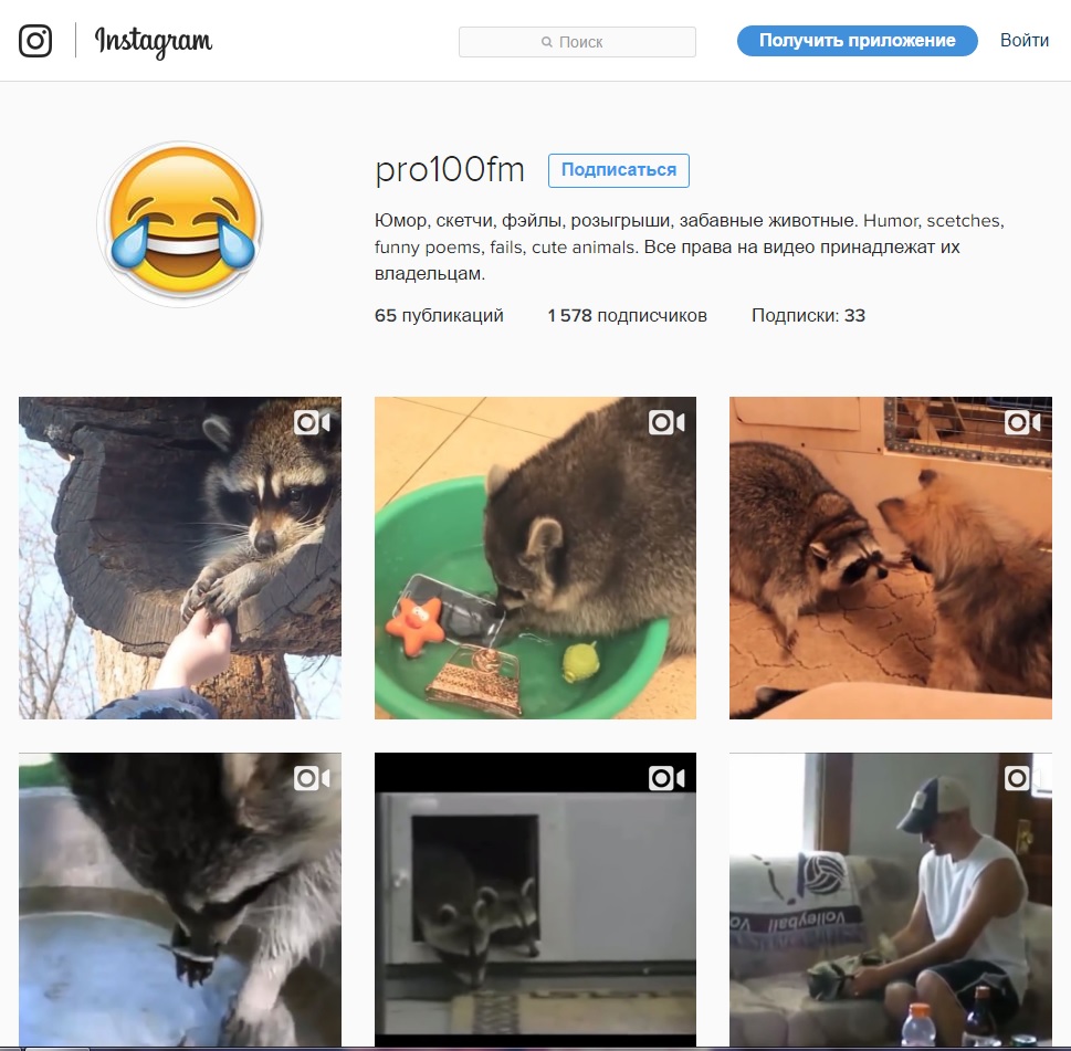 Insta.jpg