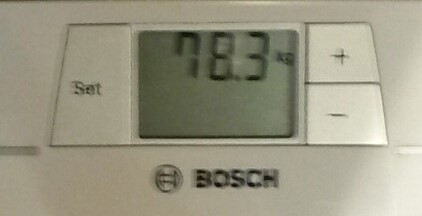 78-3.jpg