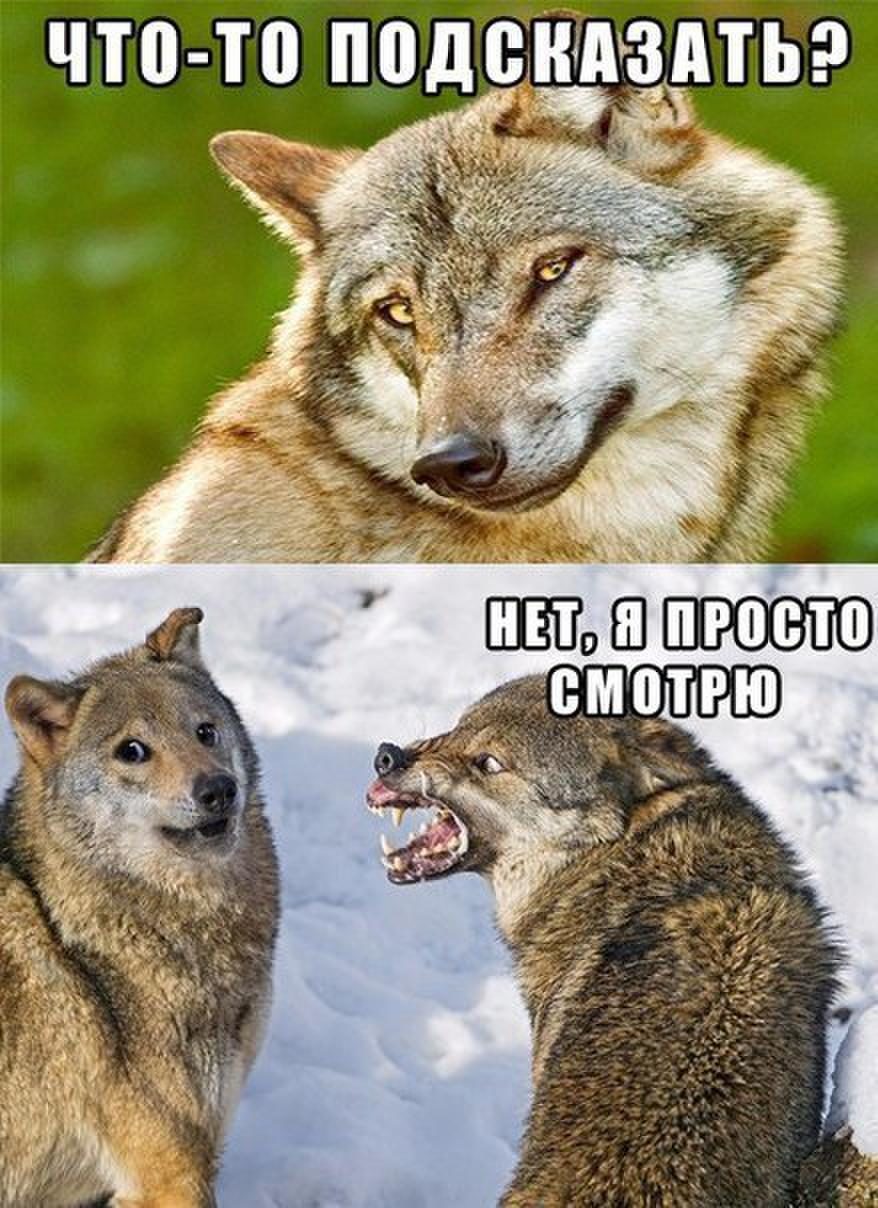 image (21).jpg