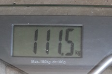 20160912_082951.jpg