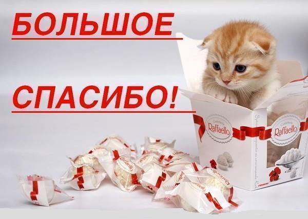 Большое_спасибо.jpg