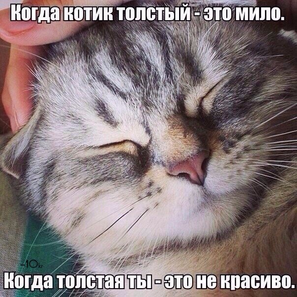 uTkjhMcVI6o.jpg