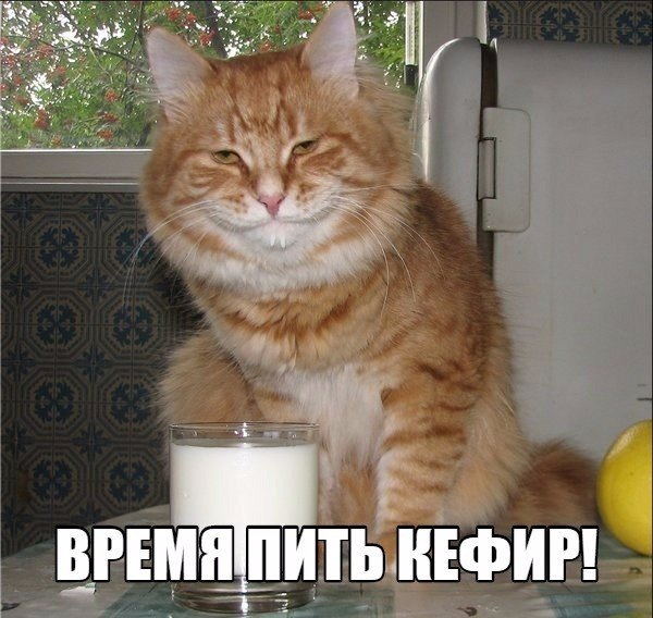 xJCQ09N85wY.jpg