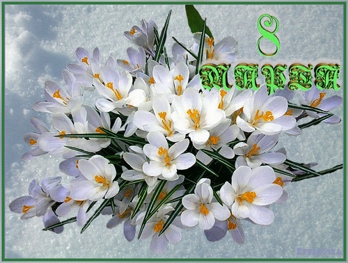 8 мрата  4.gif