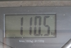 20161003_083405.jpg