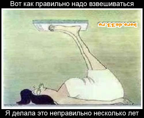 10570_boro.da33.ru.jpg