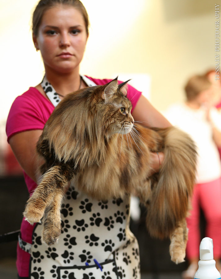 181___cfca10092016-59.jpg