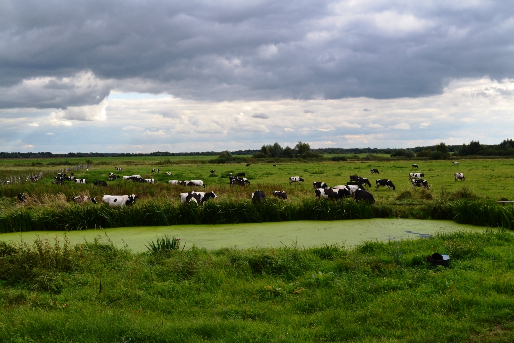 DSC_0215.JPG