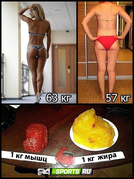 жирок.jpg
