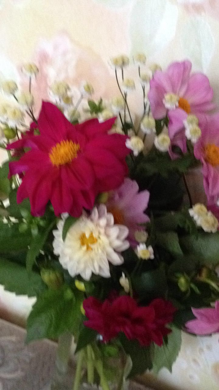 IMG-20161010-WA0003.jpg