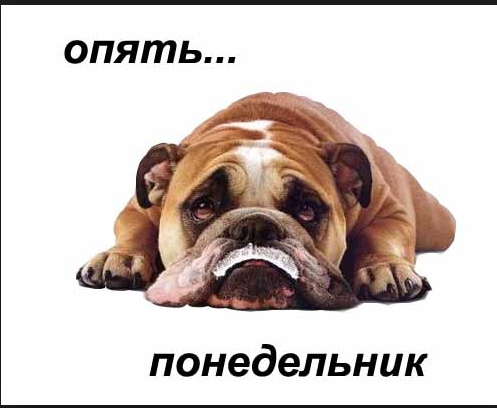 Снимок.PNG