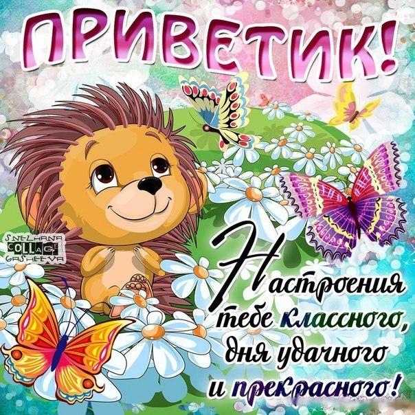 l_5784-otkritki-Otkritka-kartinka-privet-privetik-bolshoy-privet-stishok.jpg