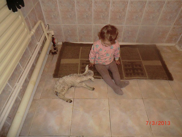 уу4.jpg