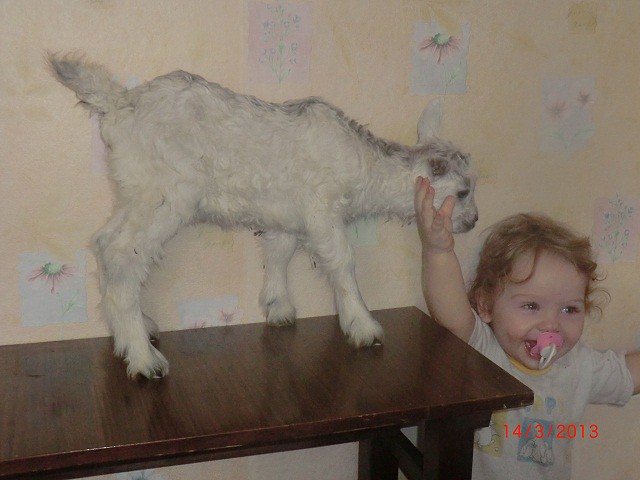 уу5.jpg