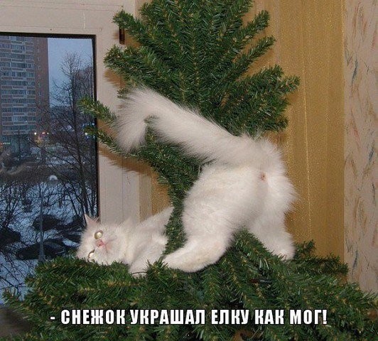 кква.jpg