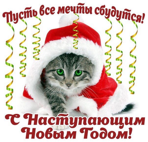 IMG_2547.JPG
