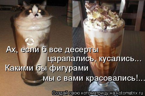 kotomatritsa_g.jpg