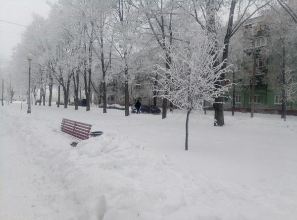 Безымянный 1.png