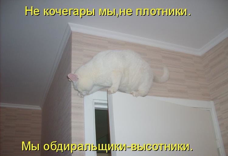 iuGJ5W_tpKg.jpg