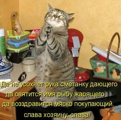 mGz4Yzmh98g.jpg