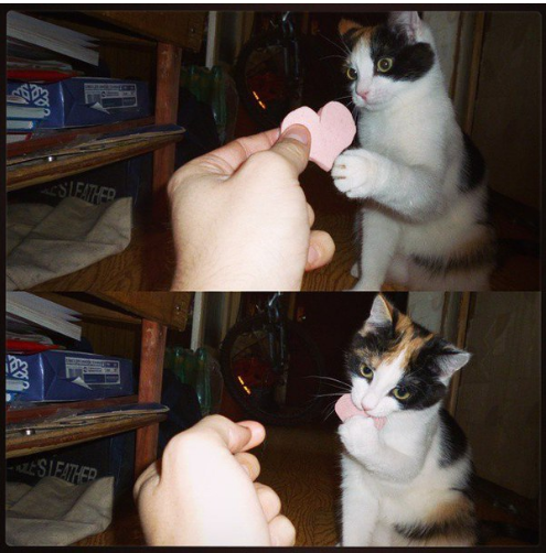 Безымянный.png