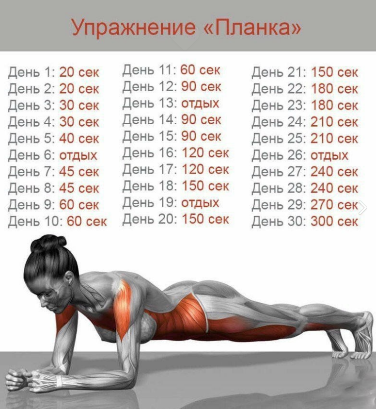 планка.PNG