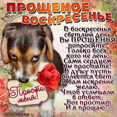 0-02-05-1628a8acfaa16ad4d370894b4ab4836a08ebd618c9619d64763378b0d24e85e6_full.jpg