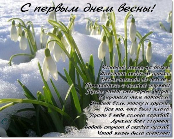 1марта.jpg