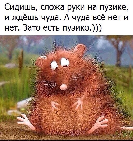 ежик.jpg