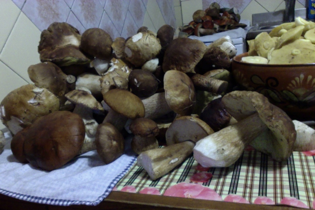 Фотография 27.09.13 в 20.40 #2.jpg