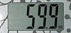 59.9.jpg