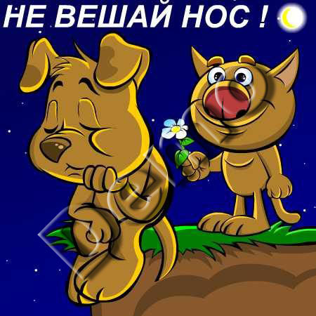 нос.jpg