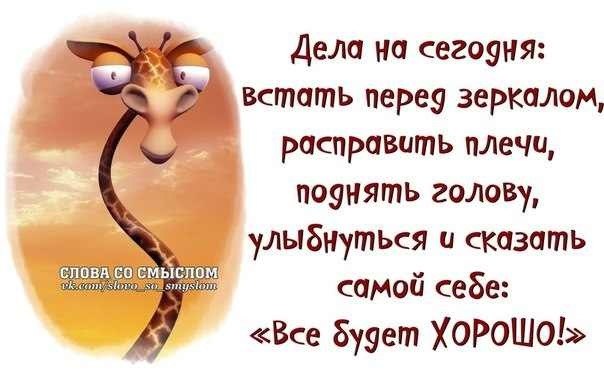 дела WpM-E.jpg