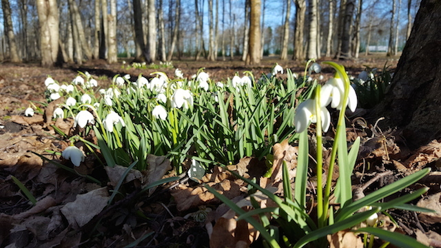 20170329_094804.jpg