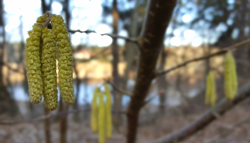20170329_103256.jpg