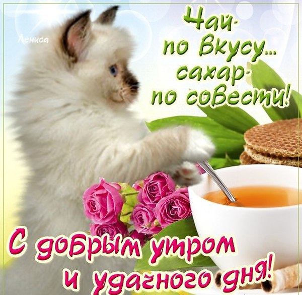 утро 297946.jpg