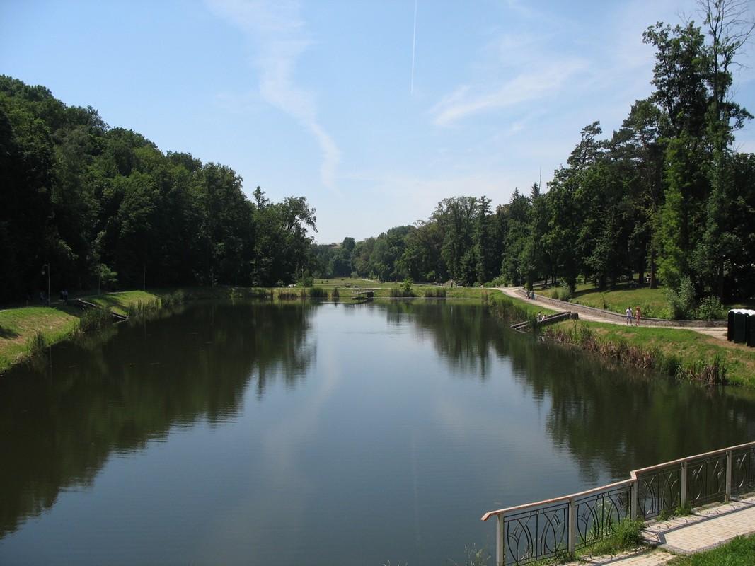 pheophania01купание 2.jpg